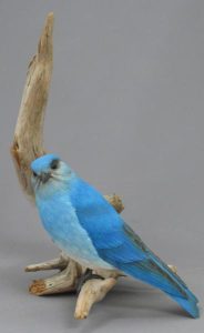Peter Sawatsky: BLUE BIRD
