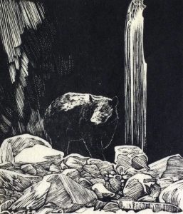 Walter Joseph Phillips: THE BEAR