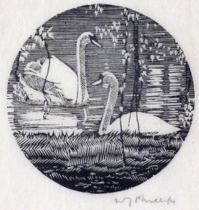 Walter Joseph Phillips: SWANS