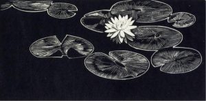 Walter Joseph Phillips: LILY