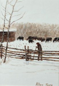 Allen Sapp: FEEDING THE COWS