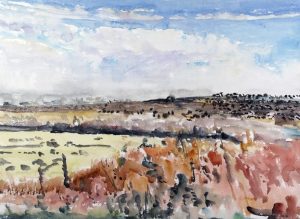 Dorothy Elsie Knowles: A FIELD OF DEAD SUNFLOWERS