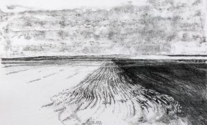 Takao Tanabe: PLOWED FIELDS