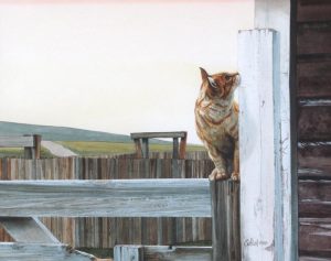 Alice Saltiel-Marshall: MOUSER