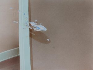 Derek Michael Besant: BROKEN PLATE
