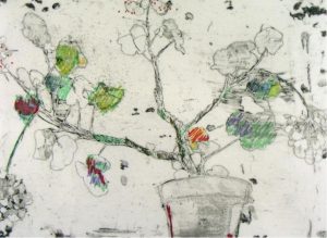 Susan Ford: SPRING GERANIUM