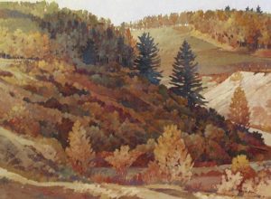Walter Drohan: NORTH BOUNDARY TOKI