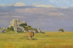 Norman Kelly: MALE LION ON THE SERENGETI