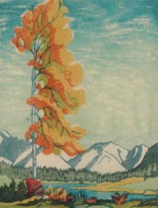 Margaret Dorothy Shelton: YELLOW POPLAR, BANFF