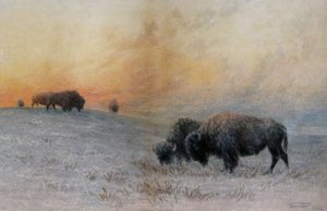 Frederick Arthur Verner: BISON GRAZING ON THE PRAIRIE