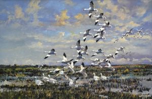 Hugh Monahan: SNOW GEESE LANDING