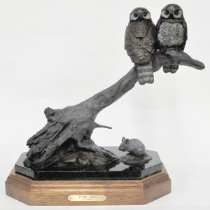 Vilem Zach: PYGMY OWLS