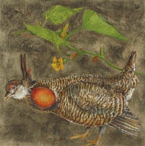 Jack Lee Cowin: PRAIRIE CHICKEN