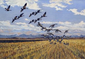 Hugh Monahan: MIDDAY MEAL (HONKERS INTO THE STUBBLE)
