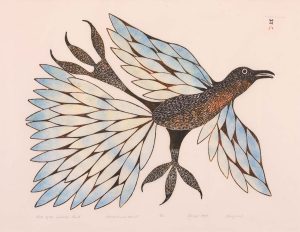 Kenojuak Ashevak: BIRD OF THE SUMMER LAND
