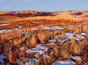 Shelley McMillan: SPRING EVENING (MOORE’S RAVINE)