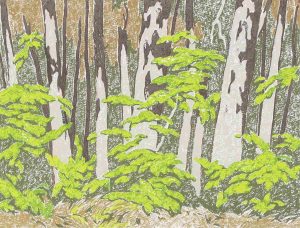 Alfred Joseph Casson: FOREST EDGE