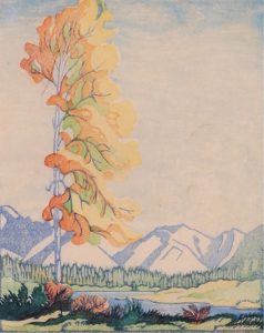 Margaret Dorothy Shelton: YELLOW POPLAR, BANFF