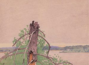 Walter Joseph Phillips: THE STUMP