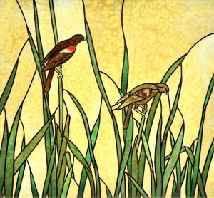 William (Bill) Duma: BLACKBIRDS IN THE REEDS