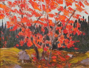 Illingworth Holey (Buck) Kerr: RED MAPLE AND BLACK SPRUCE