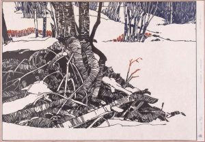Walter Drohan: _x000D_WINTER & DOGWOOD