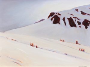 Denise Lemaster: STORM ON DECEPTION PASS (SKI TRAIL INTO SKOKI LODGE)