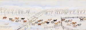 Irene E. McCaugherty: GREG KESSLER’S BUCKING HORSES, PEIGAN RESERVATION 1971