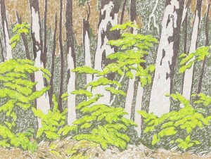 Alfred Joseph Casson: FOREST EDGE