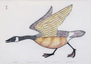 Kananginak Pootoogook: NIRLIK (GOOSE)