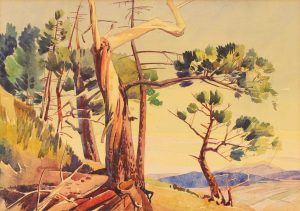 Luke Orton Lindoe: PINES FROM A SKETCH DONE ON THE GHOST