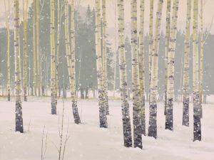 Keith Thomson: ICE CRYSTALS