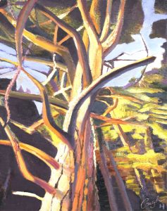 David Pugh: GNARLED BRANCHES