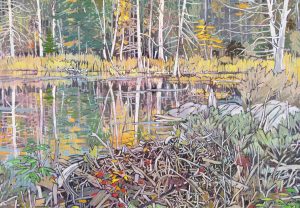 Ted Godwin: BEAVER POND – KENAUK
