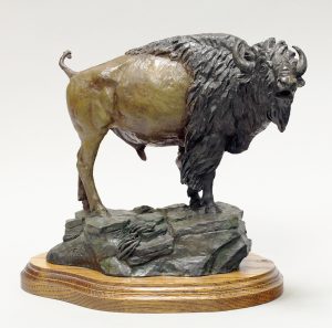Ross Contway: BISON