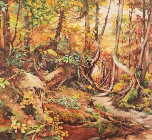 Mary Masters: FAIRIES IN A WOODLAND SETTING