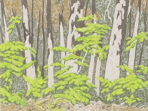 Alfred Joseph Casson: FOREST EDGE