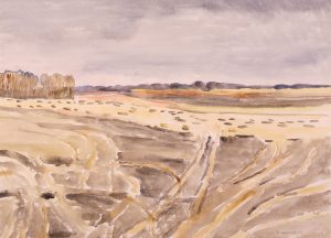 Dorothy Elsie Knowles: PATTERNS OF TRACKS