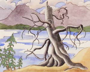 Isabel Stadelbauer: OLD TREE ON THE SASKATCHEWAN R.