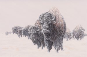 Glenn Olson: LAST STAND ON THE GREAT PLAINS