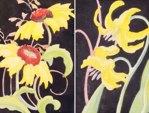 Annora Brown (2): GAILLARDIA / GLACIER LILY