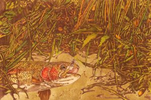 Jack Lee Cowin: A MID SUMMER’S NIGHT DREAM