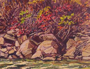 William (Bill) Duma: GOOSEBERRY BUSHES