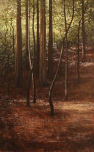 Jeff Aeling: MUIR WOODS