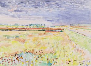Dorothy Elsie Knowles: SWAMP