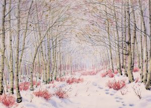 James Stanford (Stan) Perrott: ASPEN WOODS