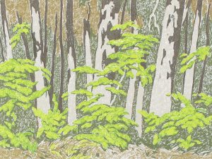 Alfred Joseph Casson: FOREST EDGE