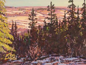 William (Bill) Duma: HILLSIDE SHADOWS