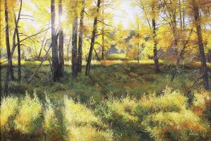 Andrew Kiss: TREES IN DAPPLED LIGHT