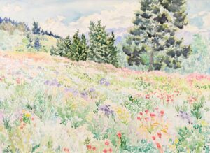 MAY WILDFLOWERS